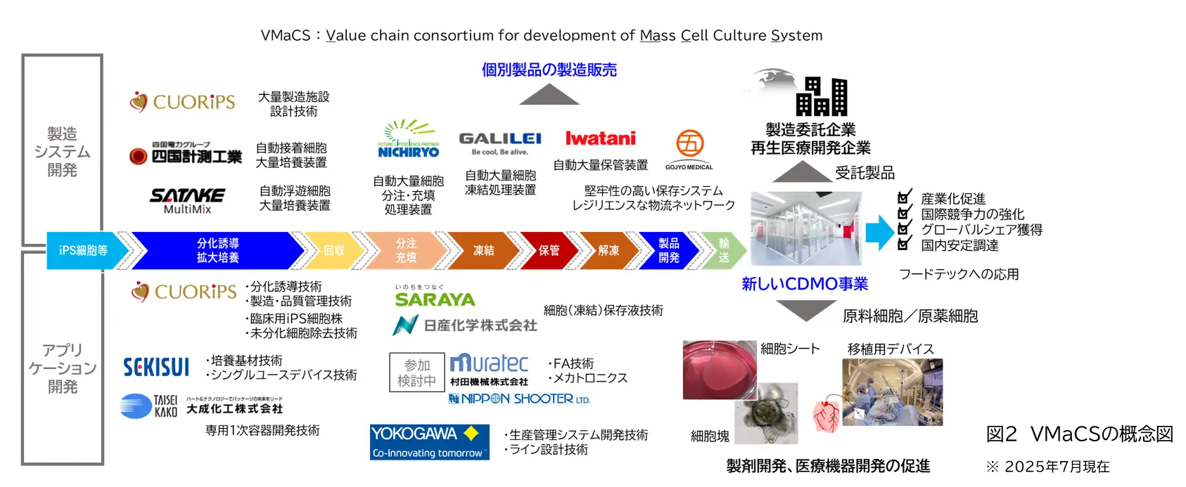VMaCSの設立